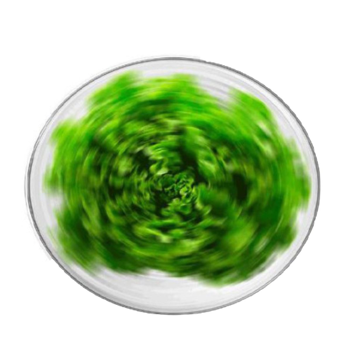 moHA! サラダスピナー Twister 野菜水切り器 （ 野菜水切りかご