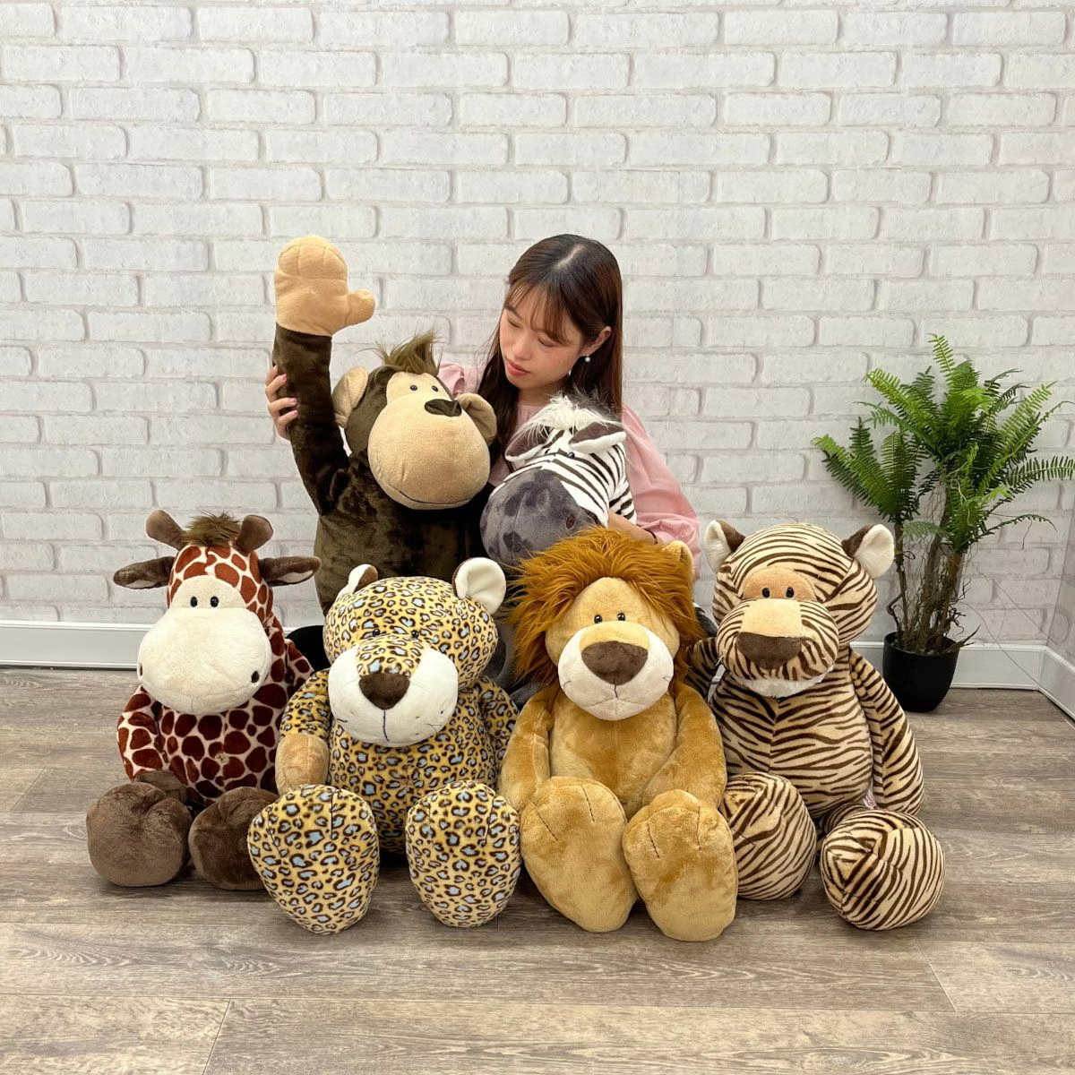 an/eddy 一点物 BIG SIZE ニットクッション アンエディ 限定 アントレックス NICI ワイルドフレンズ クラシック 80cm ぬいぐるみ