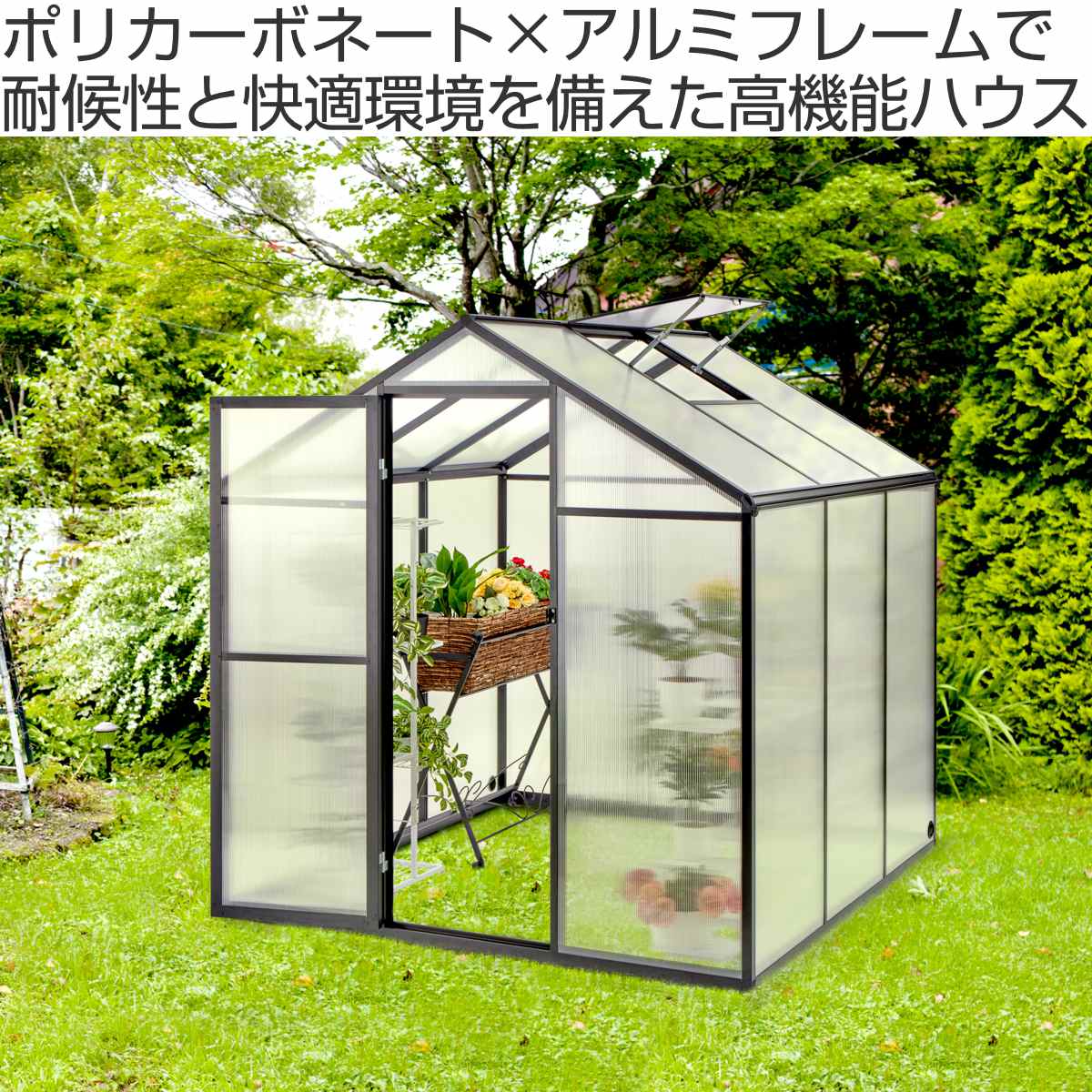 SANKA グリーンハウス 1坪用 ポリカーボネート （ 法人限定 温室 園芸