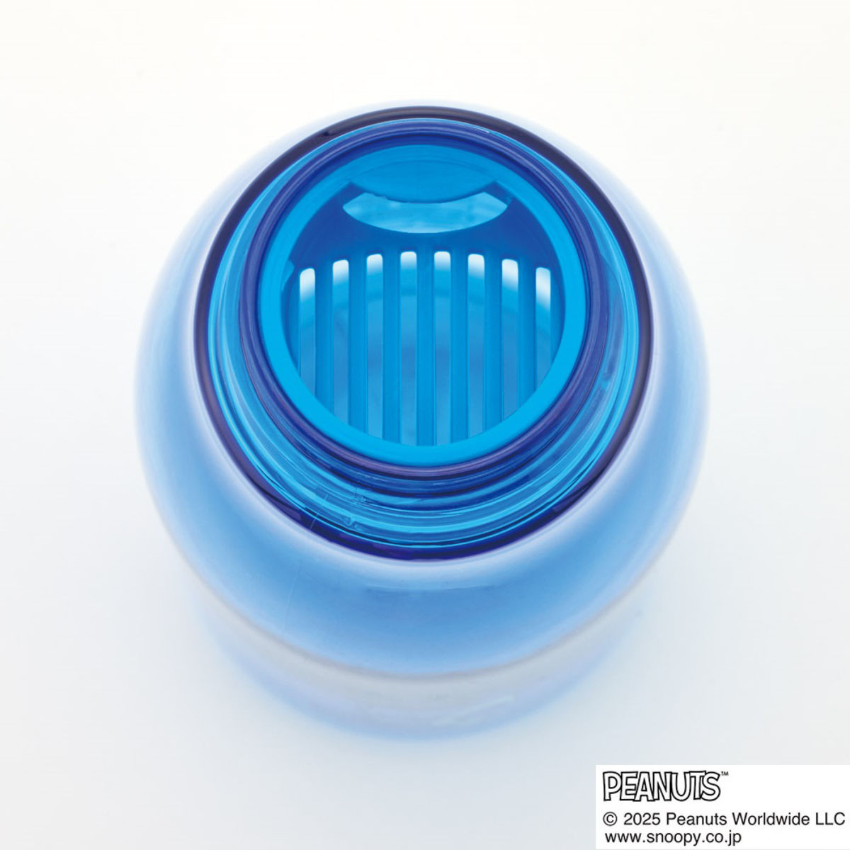 スケーター 水筒 500ml スタイリッシュブローボトル ライナス
