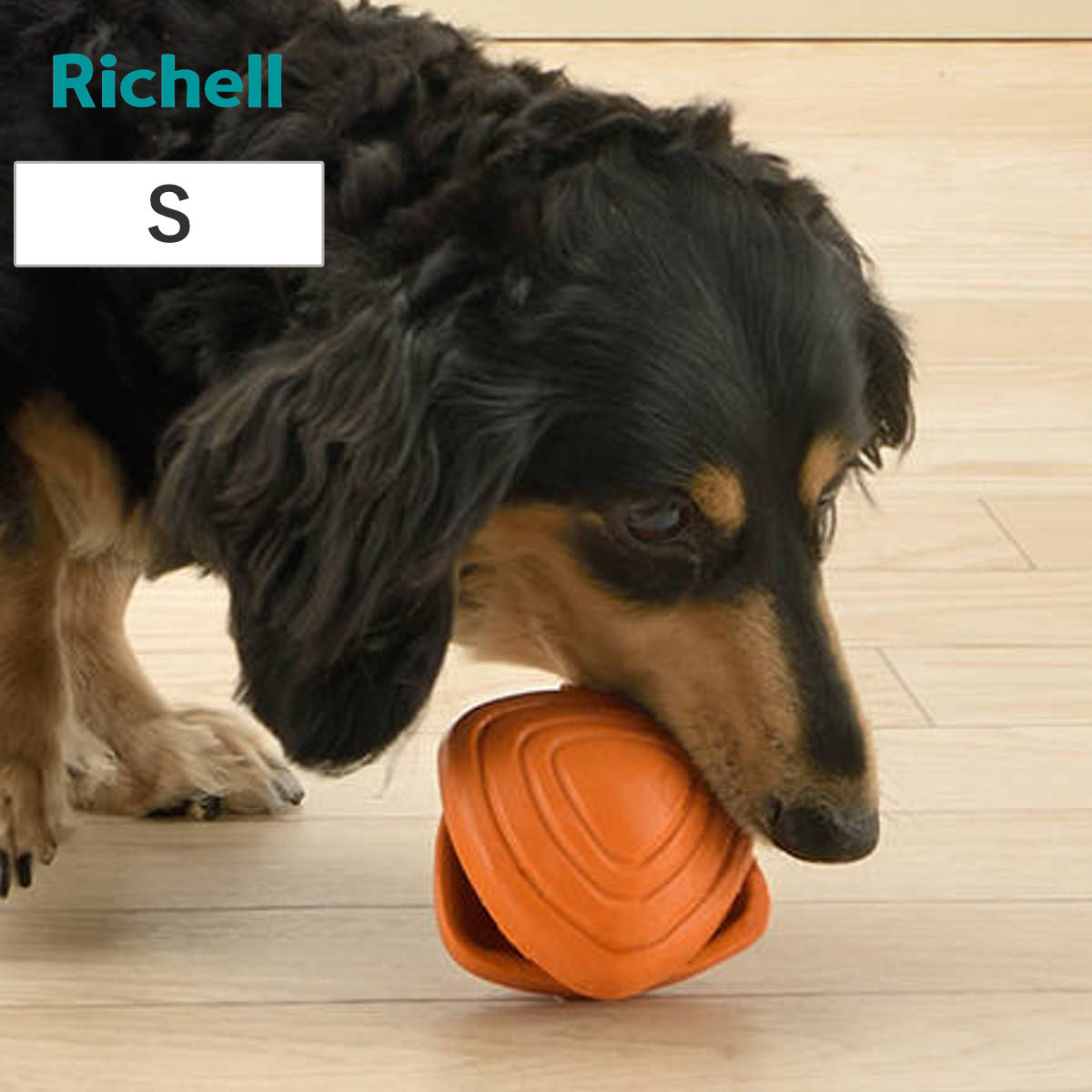 リッチェル（Richell） 知遊玩具 犬用 グルー ペック S ドッグフード 