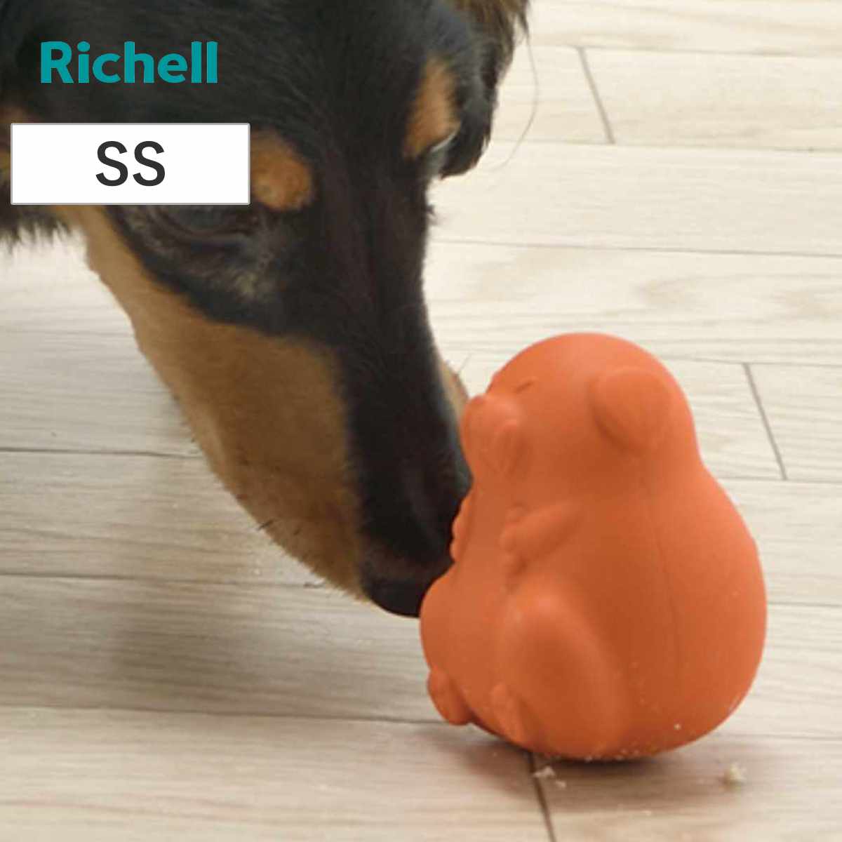 リッチェル（Richell） 知遊玩具 犬用 グルー グルちゃん SS 