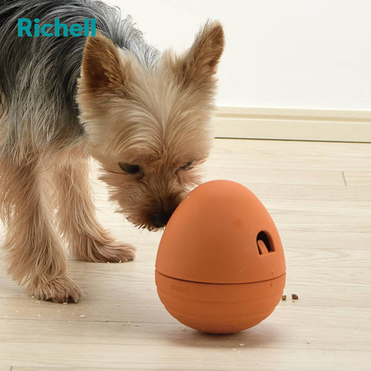 リッチェル（Richell） 知遊玩具 犬用 グルー ローリーポーリー 