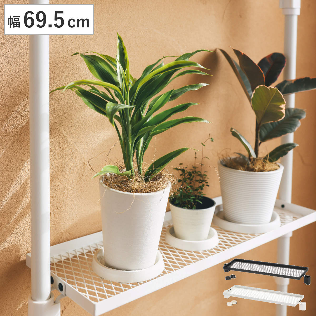 ラック ボタニー ハンギングポール用 シェルフ 60 （ ディスプレイ 棚 飾り棚 可動棚 収納棚 棚受 園芸 ）