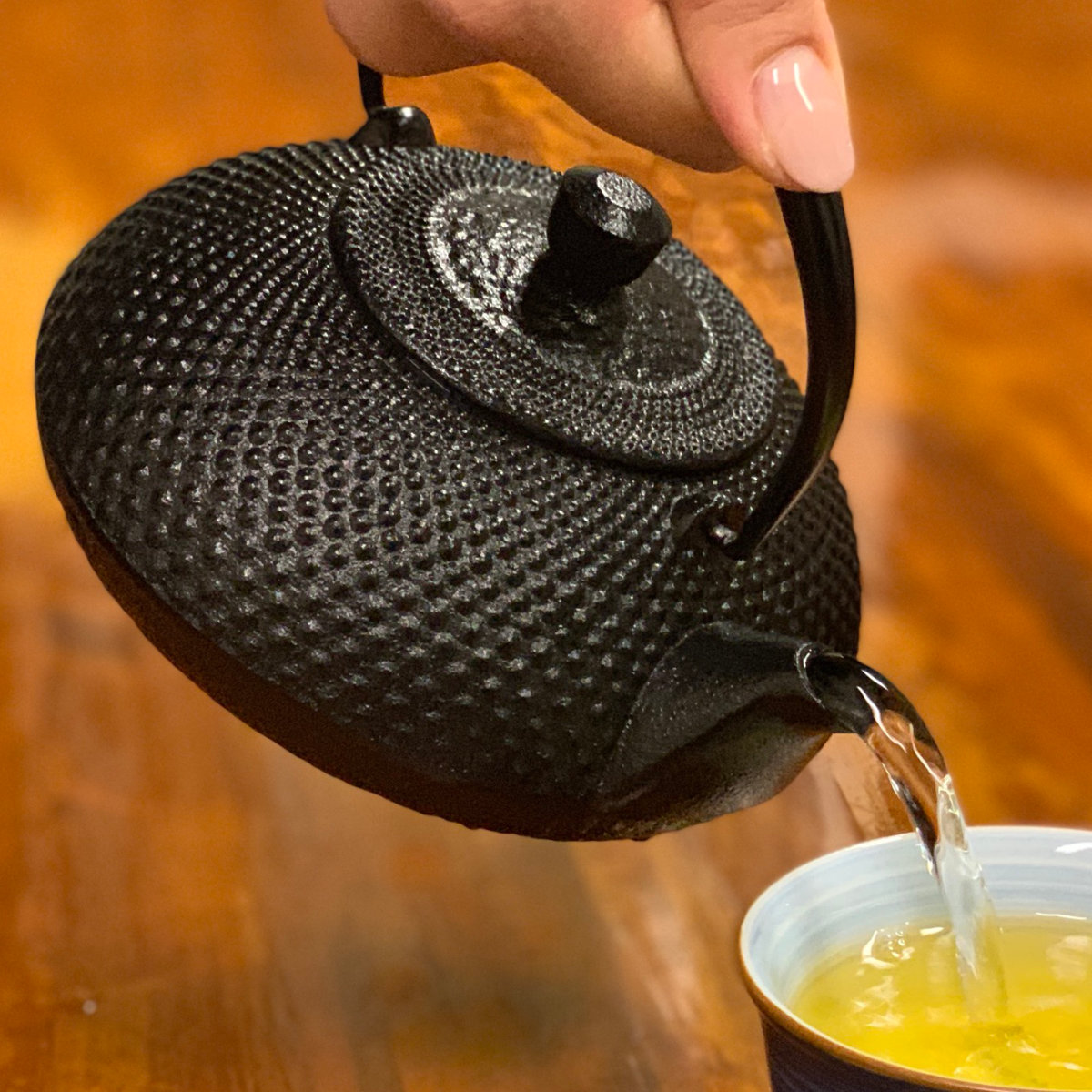 池永鉄工 鉄瓶 英 （ ガス火対応 ガス火 直火 鉄器 急須 600ml ガス