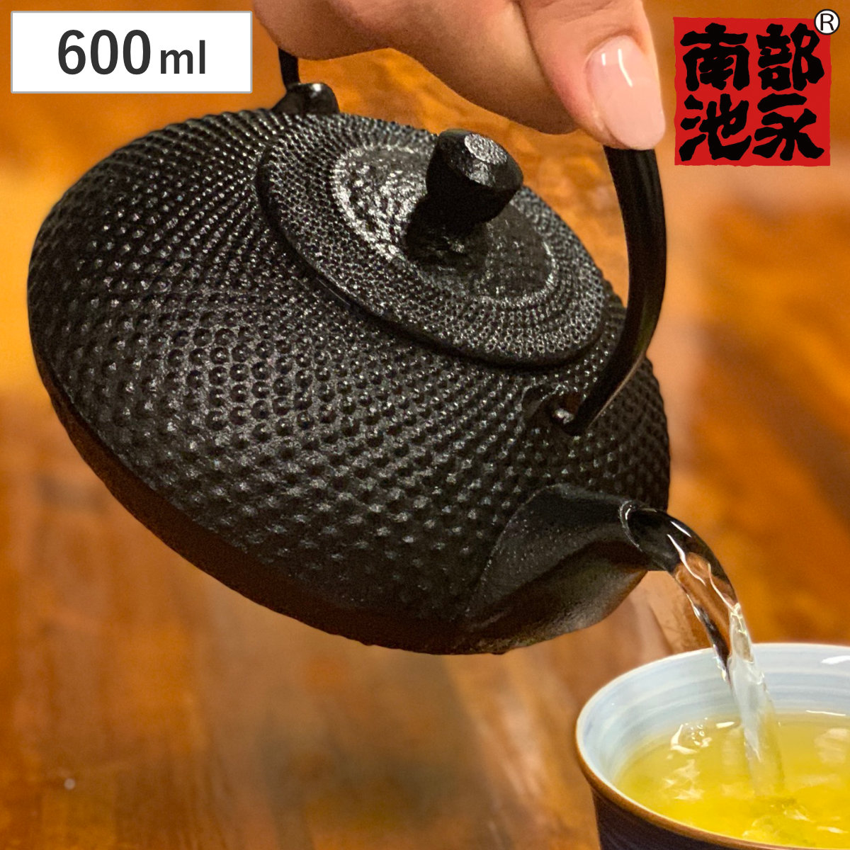 池永鉄工 鉄瓶 英 （ ガス火対応 ガス火 直火 鉄器 急須 600ml ガス