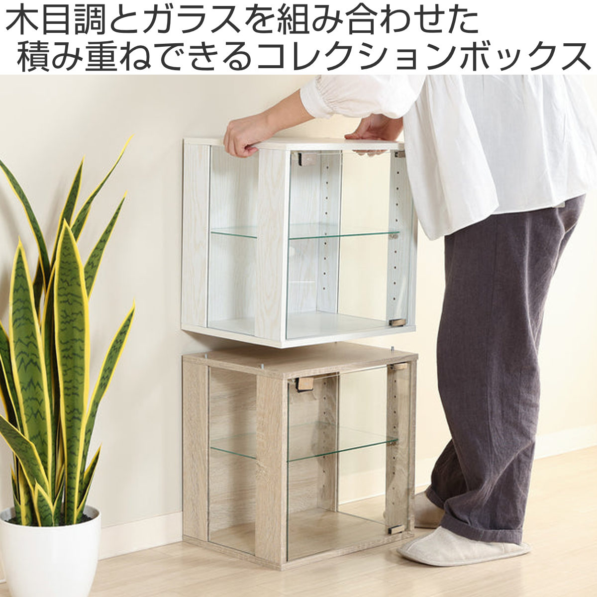 不二貿易（Fuji Boeki） コレクションボックス 幅38.1cm ガラス扉