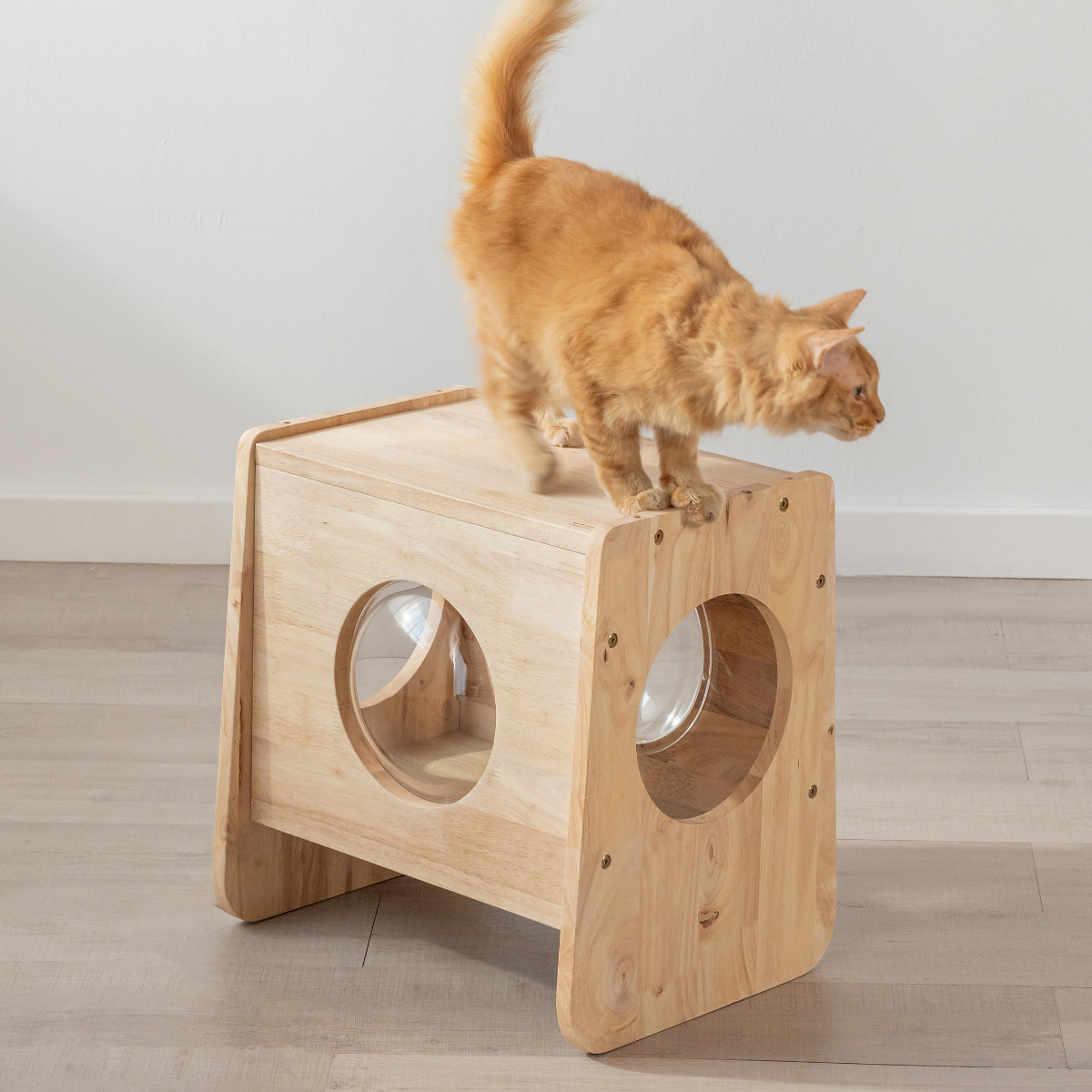 猫デザイン 木製椅子　花台　インテリア　腰掛け キャットキューブ NATURAL SIGNATURE （ キャットハウス 猫ハウス