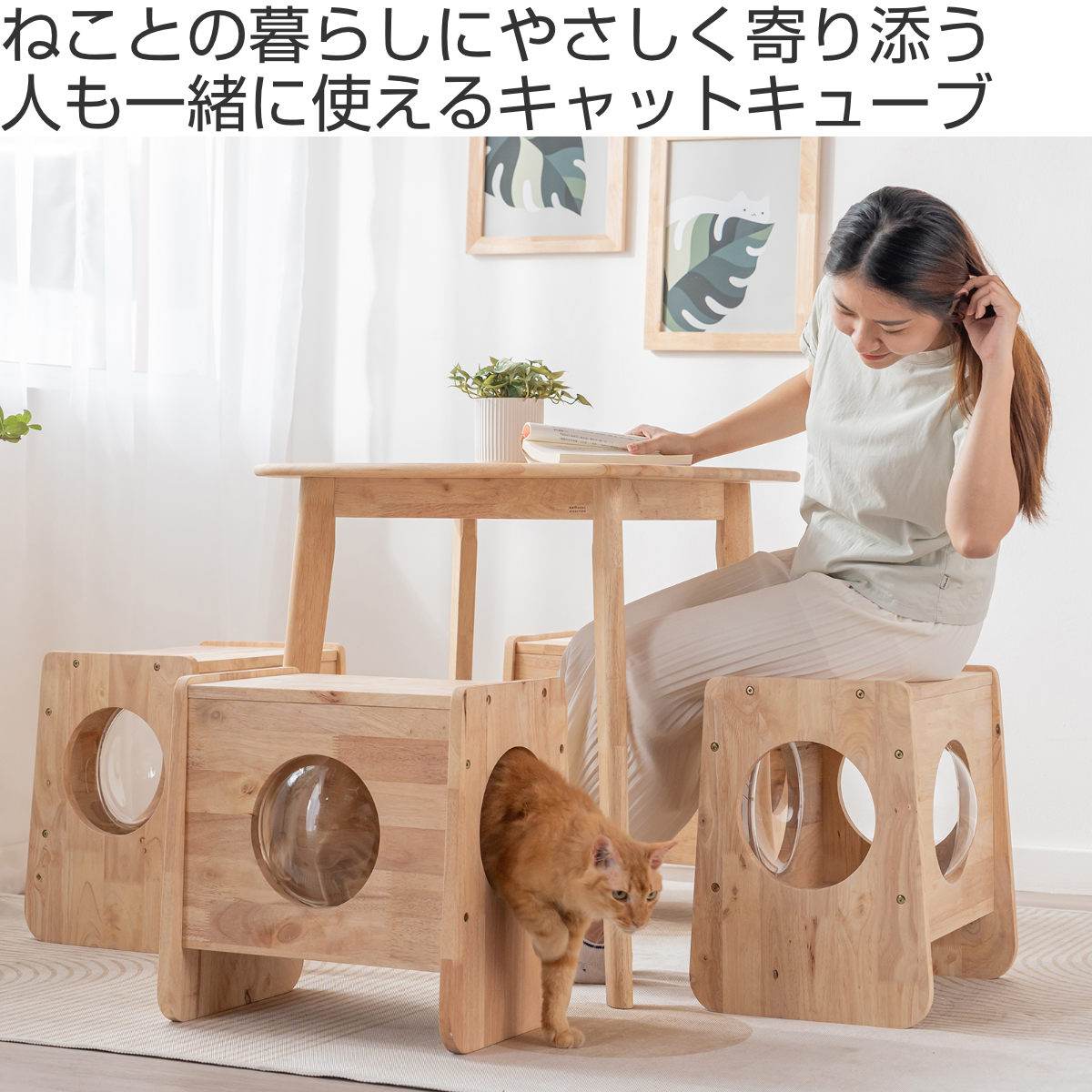 キャットキューブ NATURAL SIGNATURE （ キャットハウス 猫ハウス