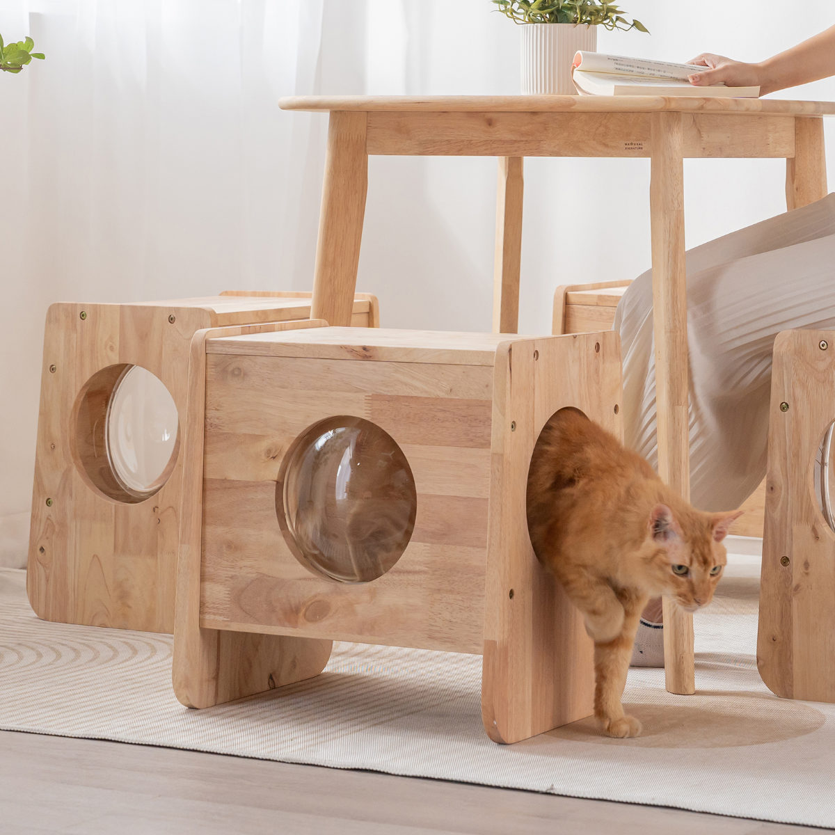 ねこ 椅子 木製のおすすめ人気商品一覧 通販 - Yahoo!ショッピング