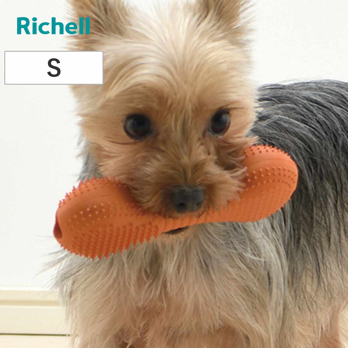 リッチェル（Richell） 知遊玩具 犬用 グルー ブラッシュ S 