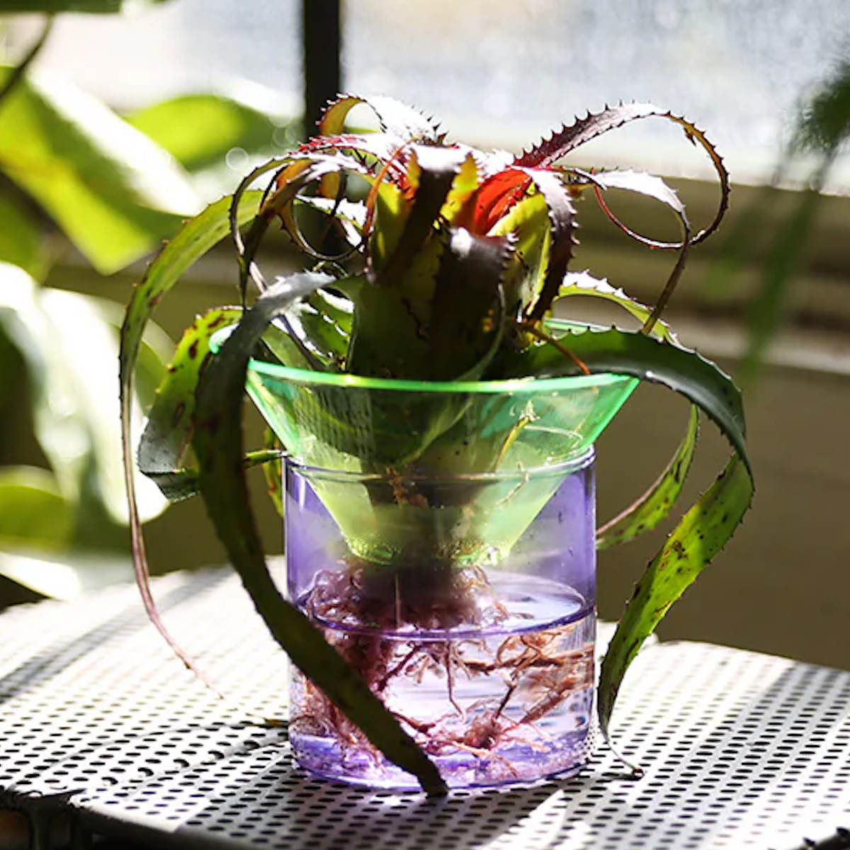magnet フラワーベース GLOW GROW MOON SPROUT ガラス （ 花ビン