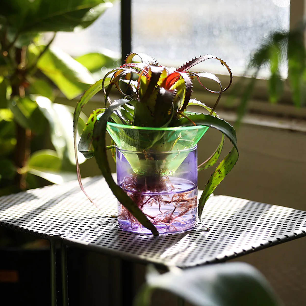 magnet フラワーベース GLOW GROW MOON SPROUT ガラス （ 花ビン