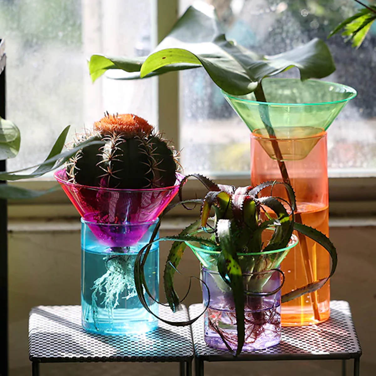 magnet フラワーベース GLOW GROW MOON SPROUT ガラス （ 花ビン