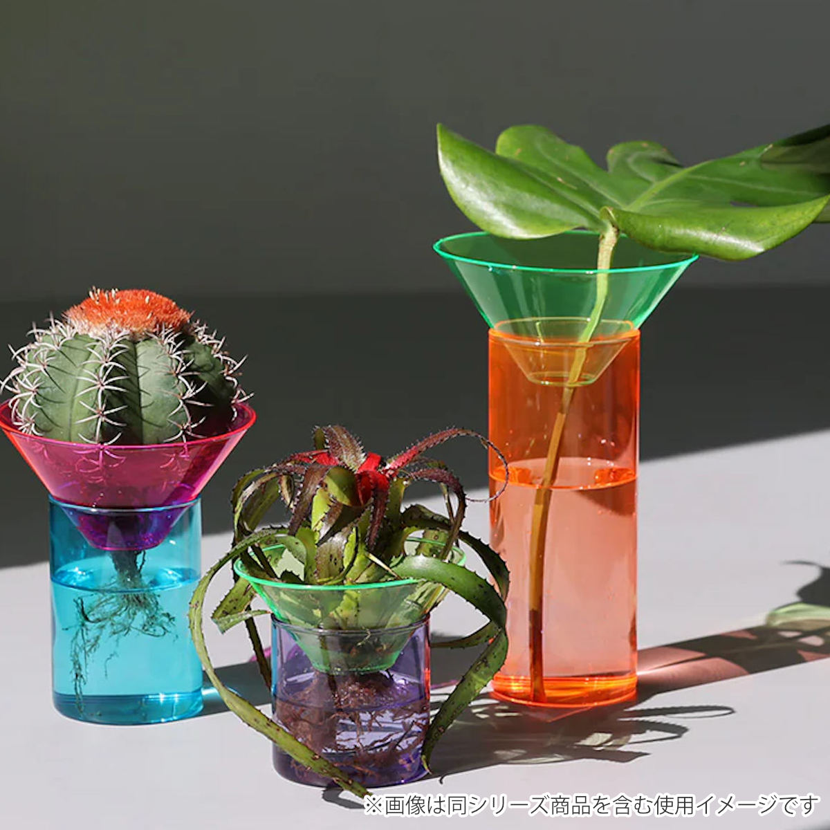 magnet フラワーベース GLOW GROW MOON SPROUT ガラス （ 花ビン