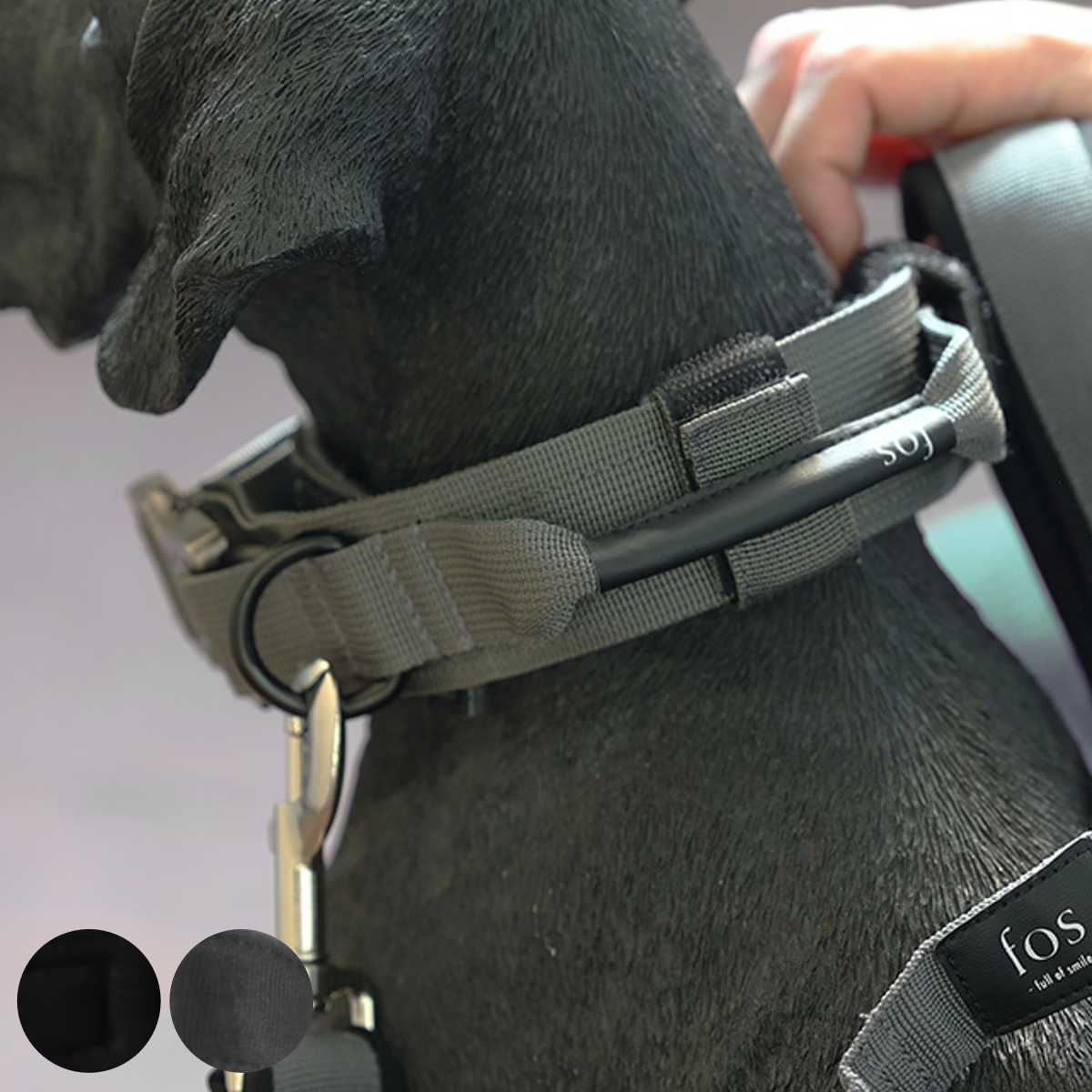 ペット 犬 Noble Collar Black 首輪 （ 犬用 犬用首輪 散歩 ペット用品