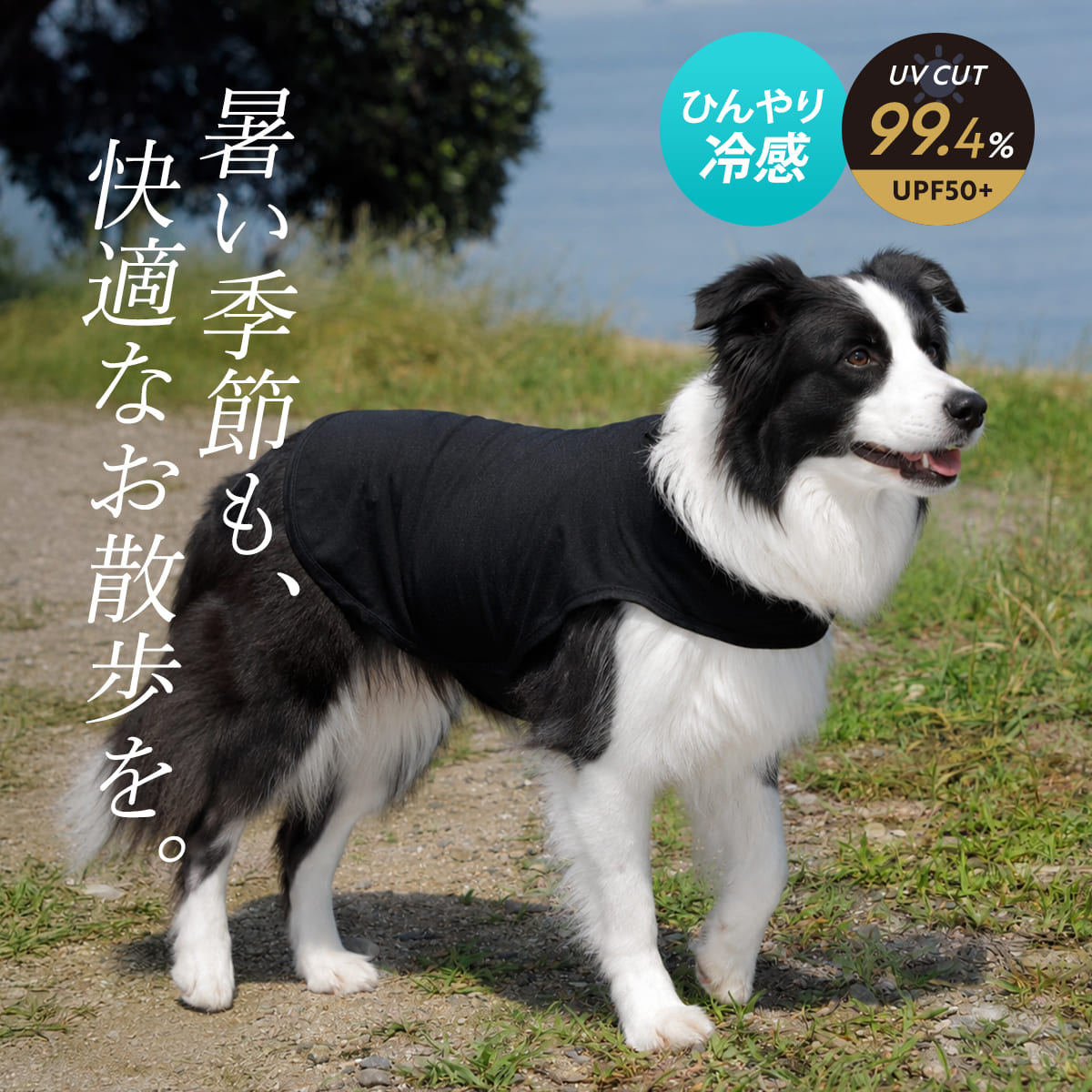 特典付き 犬服 冷感 UV ベスト ドッグポンチョ L SOLLESS 中型犬 大型