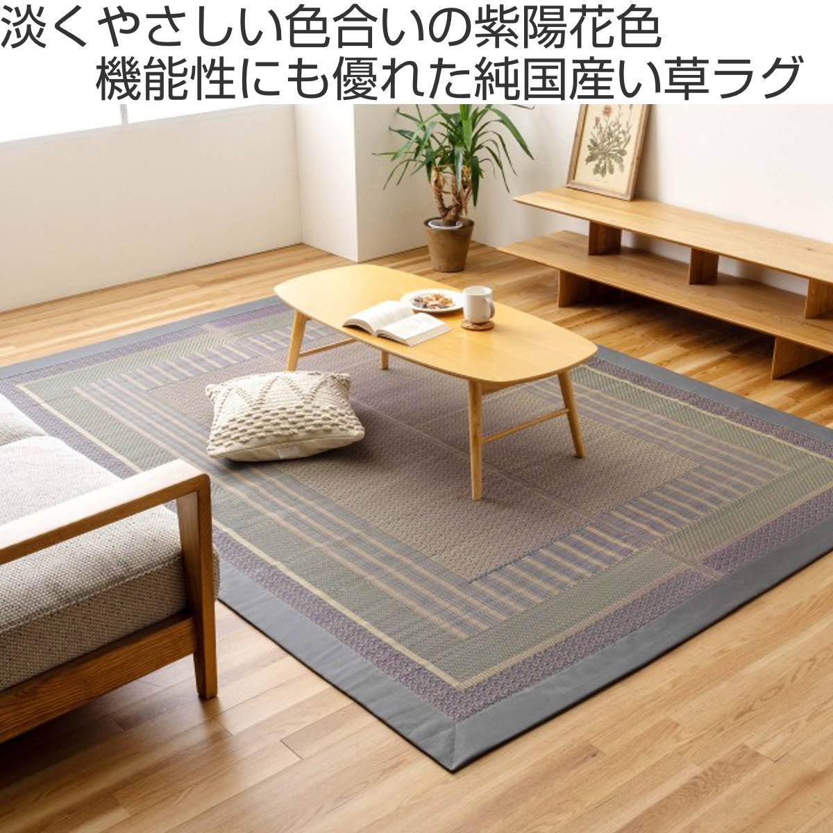 イケヒコ ラグ い草 DXオルシャ 140×200cm （ 純国産 上敷き い草ラグ