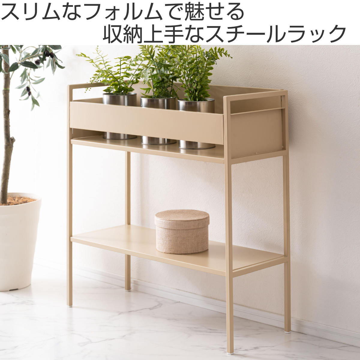 ラック 幅62.5cm 2段 スチール プランタースタンド （ 棚 ソファサイド