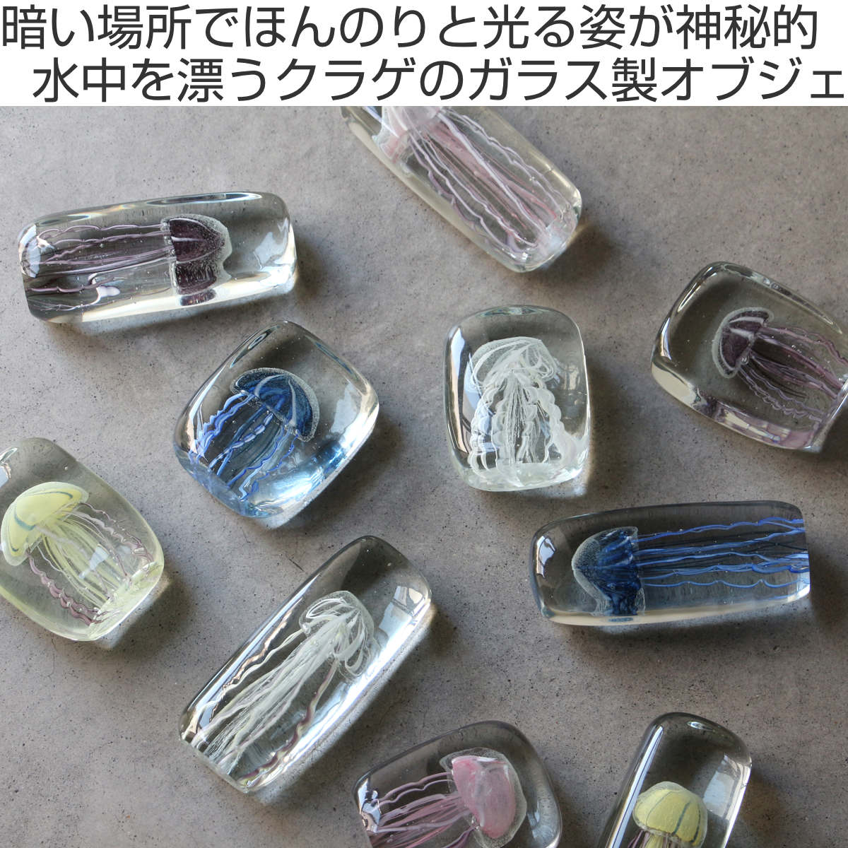 3匹の優雅なクラゲ ガラスドームオブジェ Glass Ocean 置物 透明感