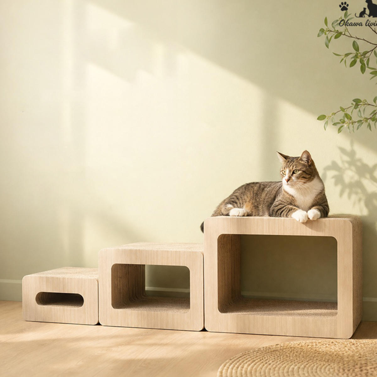 猫 爪とぎ かわいい」の人気商品一覧・価格比較 - 価格.com