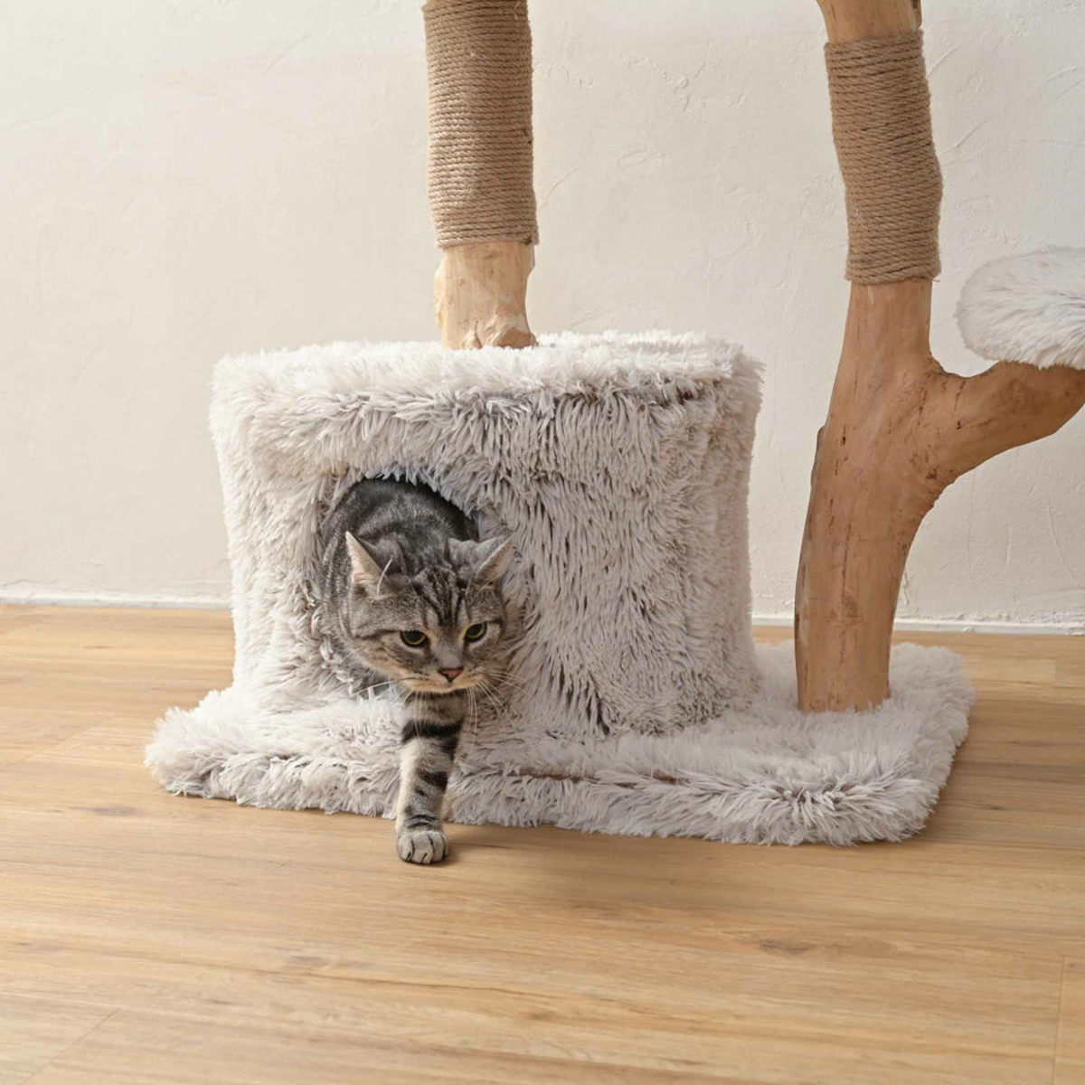 流木キャットタワー キャットタワー 流木 据え置き （ キャットツリー 猫タワー 天然木 爪