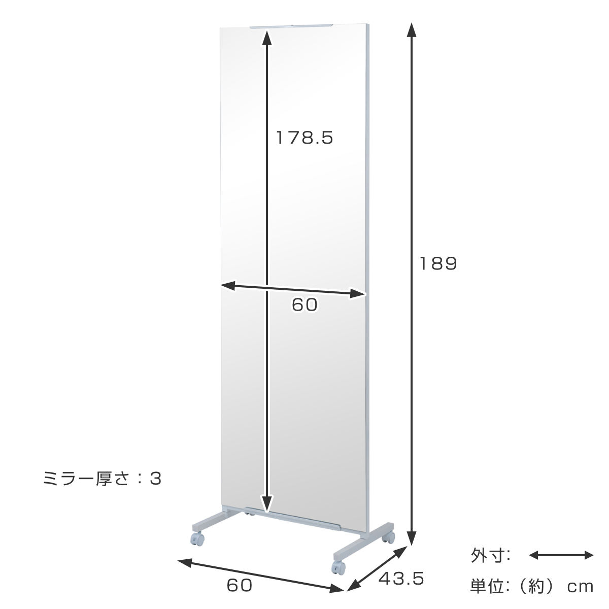 パーテーション 間仕切り スタンドミラー 大型 キャスター付き 幅60cm パーテーション 間仕切り スタンドミラー 大型 キャスター付き 幅60cm