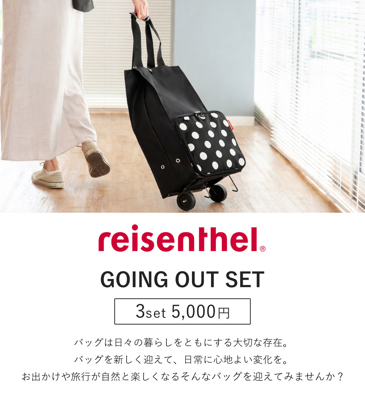 reisenthel（ライゼンタール） ショッピングカート お出かけ3点セット 