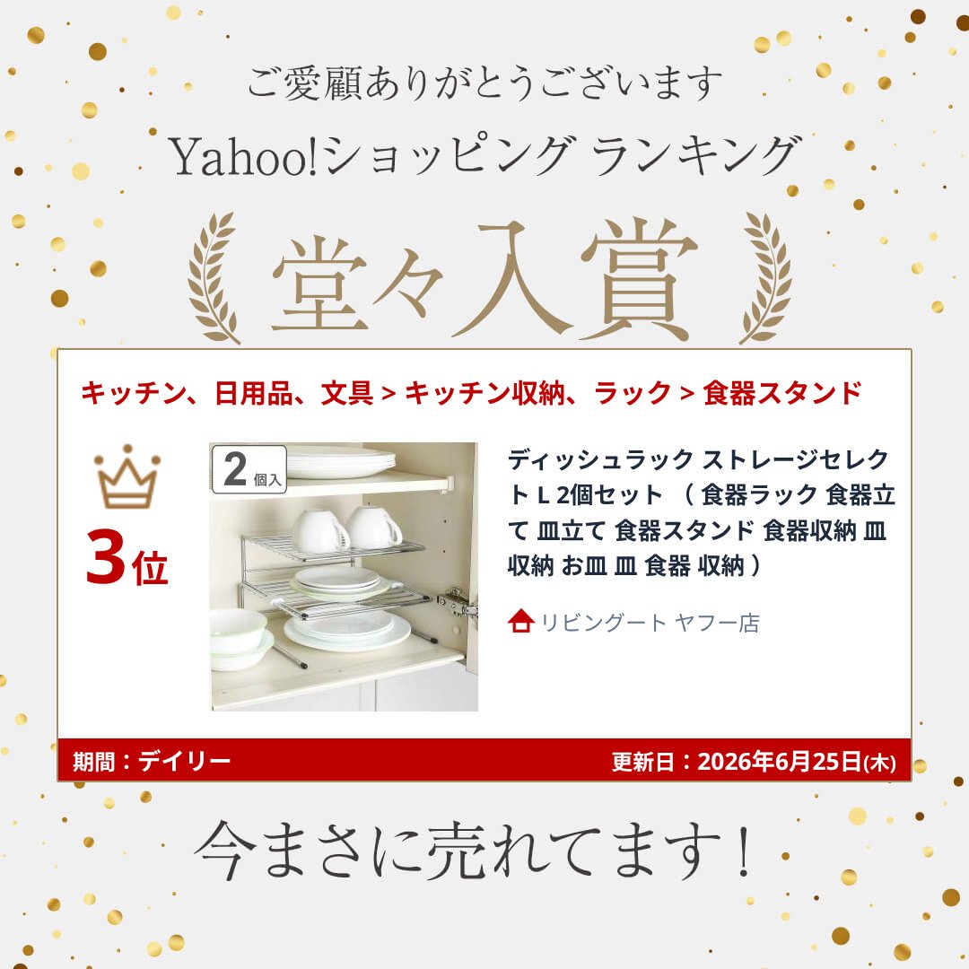 パール金属 ディッシュラック ストレージセレクト L 2個セット （ 食器