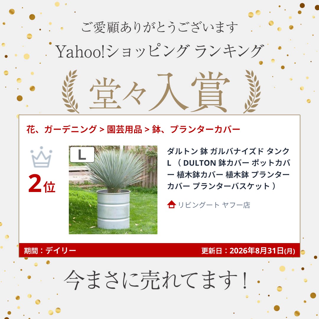 DULTON（ダルトン） 鉢 ガルバナイズド タンク L （ DULTON 鉢カバー