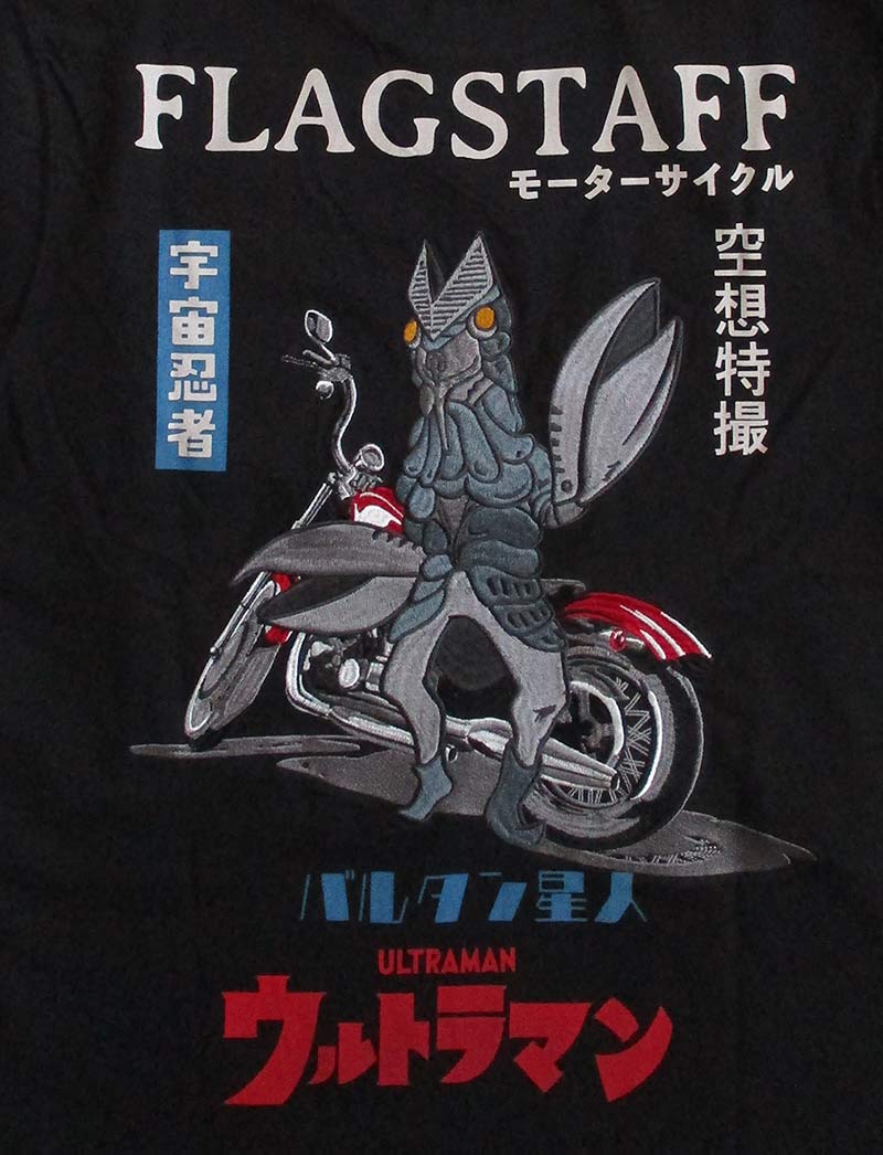 431015_4.jpg