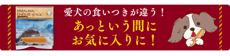 単品 Lサイズ(約160g) 正規品ヒマチー ヒマラヤチーズ スティック 商標取得 ペット 犬用おやつ 無添加 ガム 送料無料 ロアジス直営店  :HCS-0030:ロアジスナチュラルPetLife - 通販 - Yahoo!ショッピング