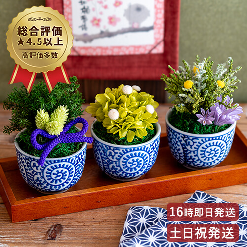 【未開封】SAYSUM DAMI プレゼント等に！お盆セール プリザーブドフラワー 盆栽風 退職祝い 誕生日 プレゼント 祖父 祖母