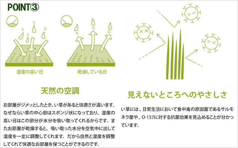 置き畳 全厚3cm 衝撃吸収畳 ユニット畳 くつろぎの和空間 2枚セット 2