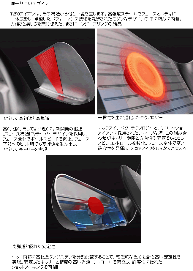Titleist（タイトリスト） T250(25) アイアン 6本(5番〜P)セット