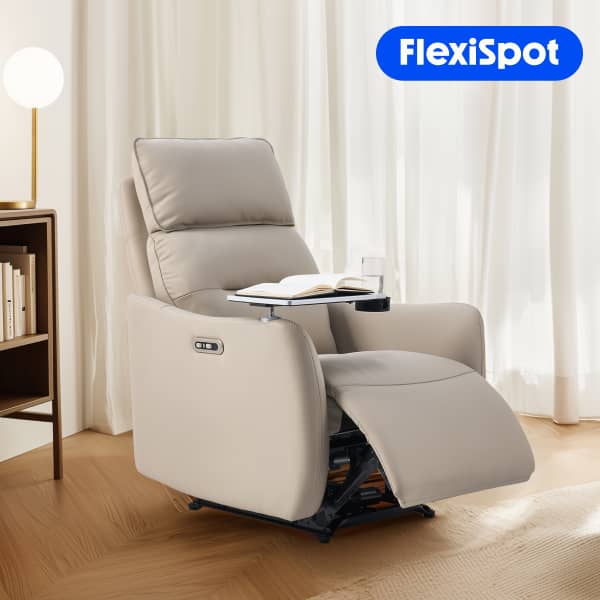 ���N���C�j���O�\�t�@ �d�� FlexiSpot Lune Pro