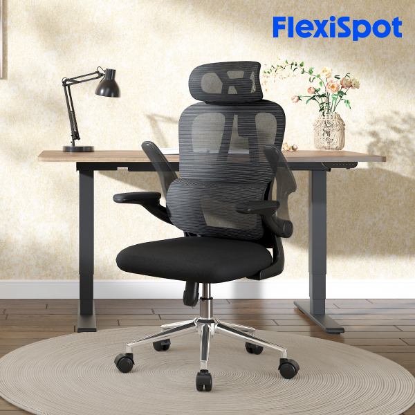 �I�t�B�X�`�F�A FlexiSpot OC6 