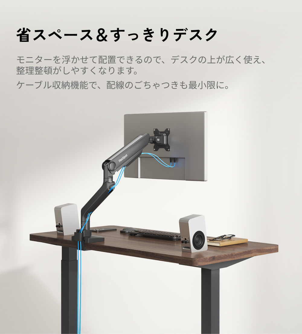 FlexiSpot モニターアーム ディスプレイアーム 上下調節可能
