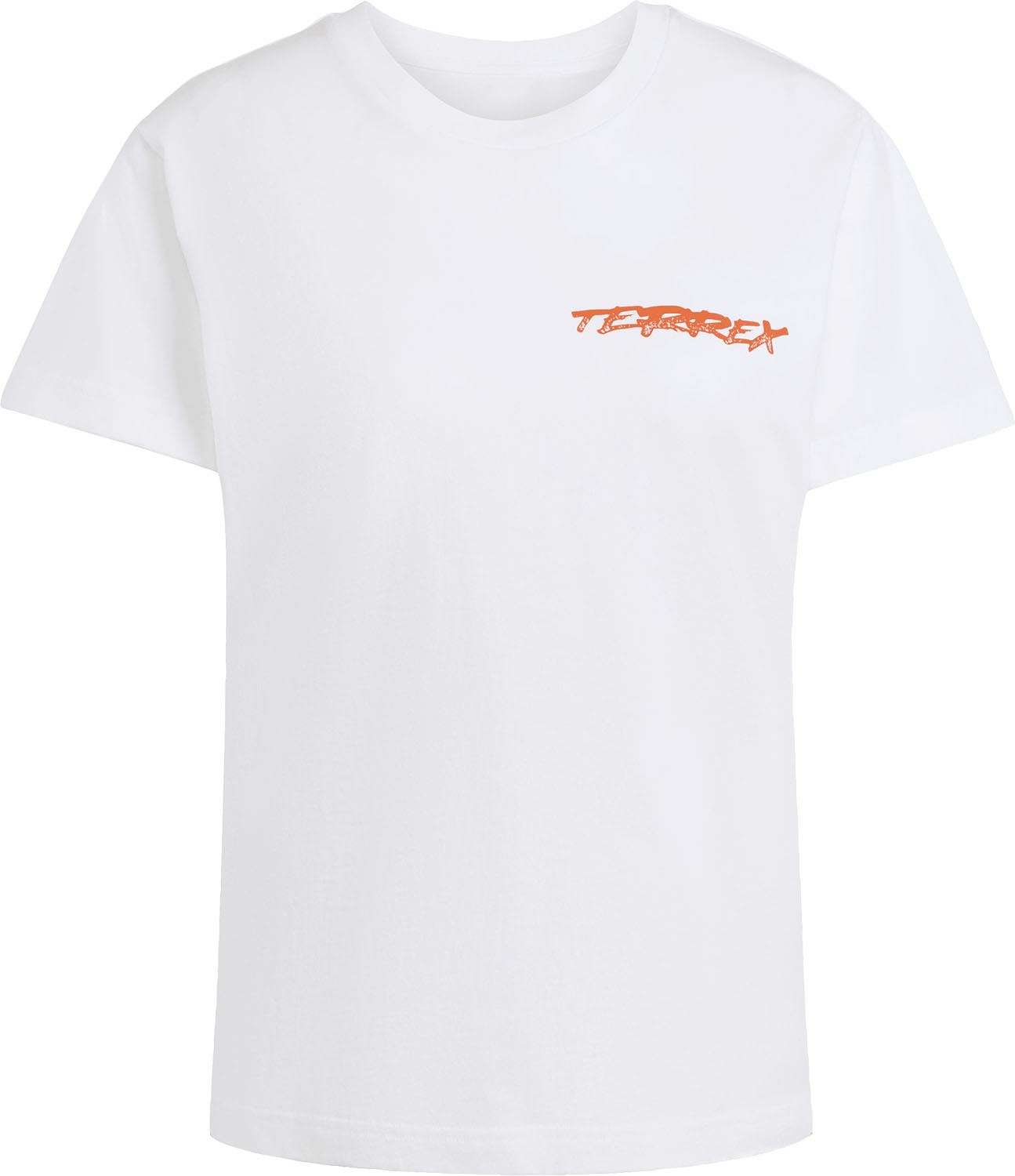 adidas テレックス スノー アドベンチャー グラフィックTシャツ アウトドア アウトドアウェア Tシャツ 半袖Tシャツ ショートスリーブ グラフィックTシャツ テレックス スキー スノーボード パウダースノー 雪 冬 JXY20