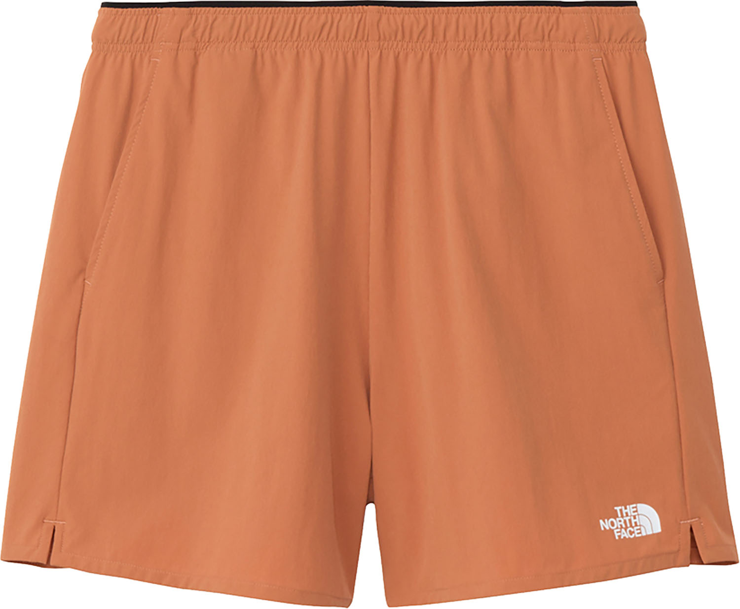 THE NORTH FACE フレキシブルショーツ ハーフパンツ PF LOGOWEAR ボトムス パンツ ソフト イージパンツ ロゴ ウェア Flexible Short NBW22581