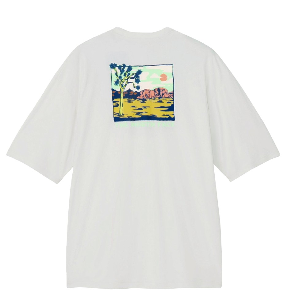 THE NORTH FACE メンズ 半袖Tシャツ 半袖シャツ ショートスリーブウォータースムースティー NT12431