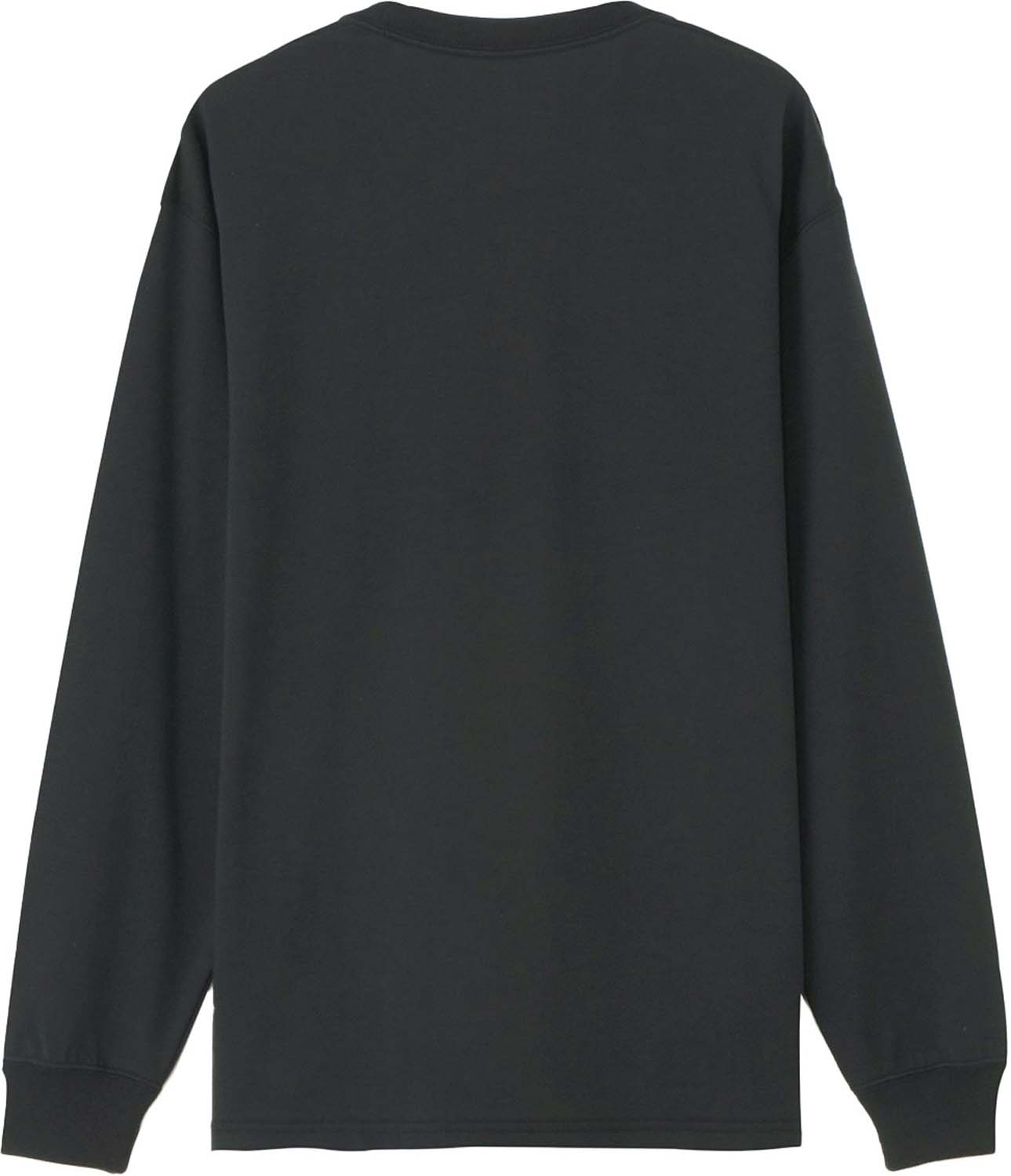 THE NORTH FACE ロングスリーブスモールボックスロゴティー ロングスリーブ Tシャツ アウトドア 山登り 登山 ハイキング 静電防止 吸汗速乾 NT32441