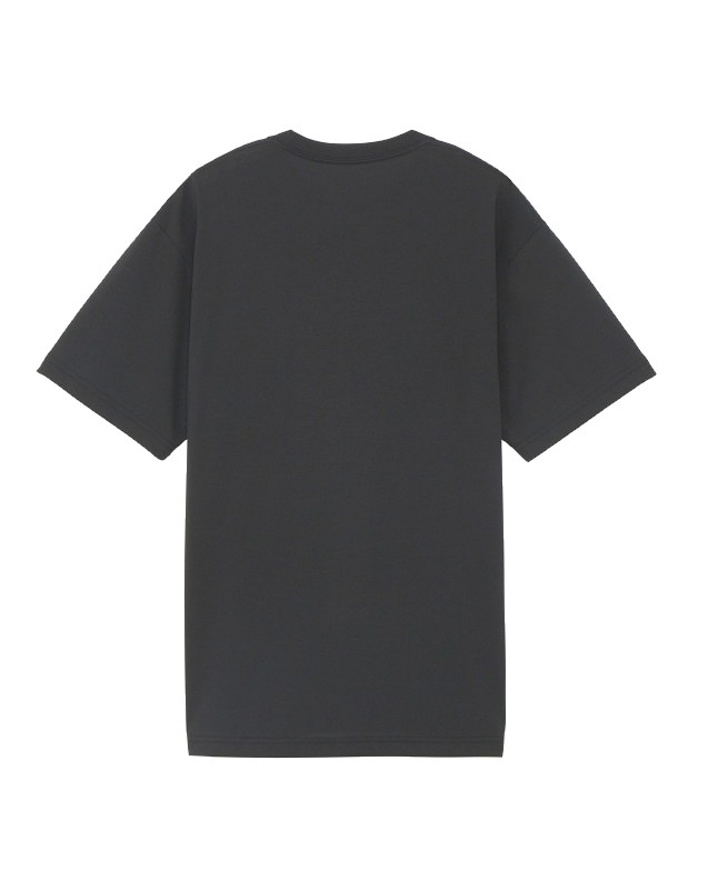 THE NORTH FACE メンズ 半袖Tシャツ 半袖シャツ ショートスリーブスモールボックスロゴティー NT32445