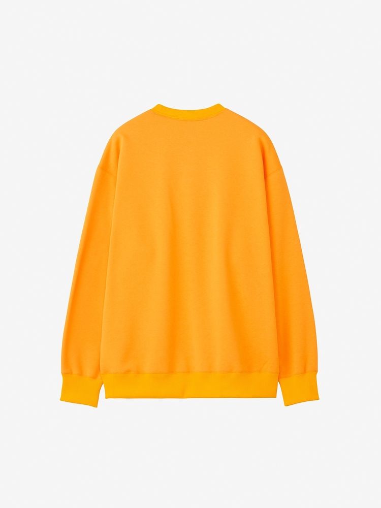 THE NORTH FACE ノースフェイス スモールロゴヘザースウェットクルー Small Logo Heather Sweat Crew メンズ レディース スウェット NT62337