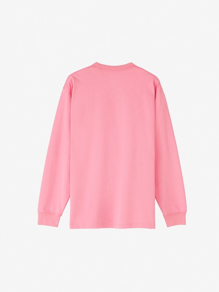 THE NORTH FACE ノースフェイス ロングスリーブスクエアロゴティー メンズ レディース ロングTシャツ 長袖Tシャツ NT82334