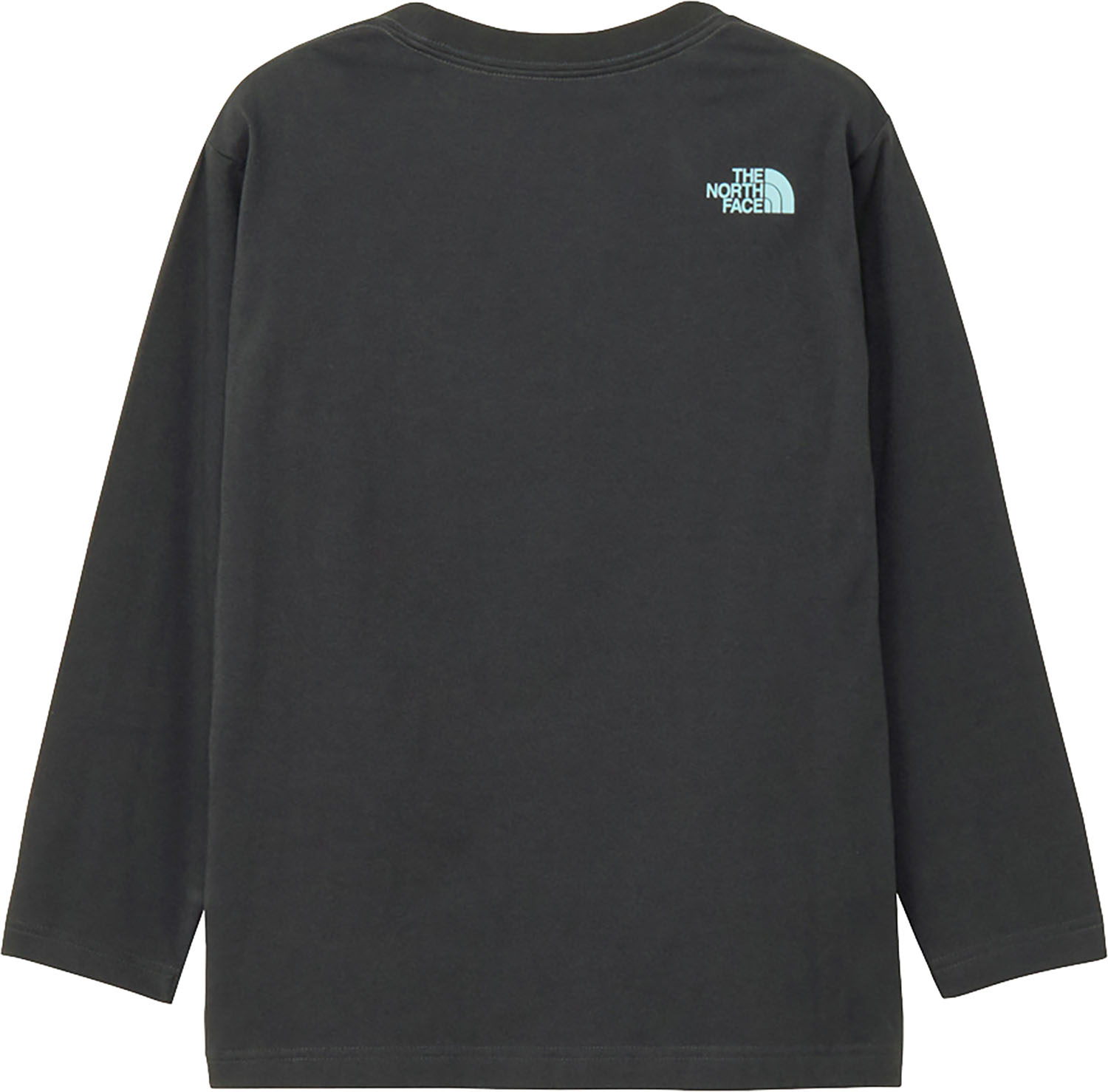 THE NORTH FACE ロングスリーブスモールボックスロゴティー ロングスリーブ Tシャツ アウトドア 山登り 登山 ハイキング 静電防止 吸汗速乾 NT32441