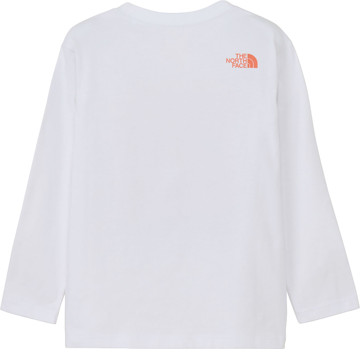 THE NORTH FACE ロングスリーブスモールボックスロゴティー ロングスリーブ Tシャツ アウトドア 山登り 登山 ハイキング 静電防止 吸汗速乾 NT32441