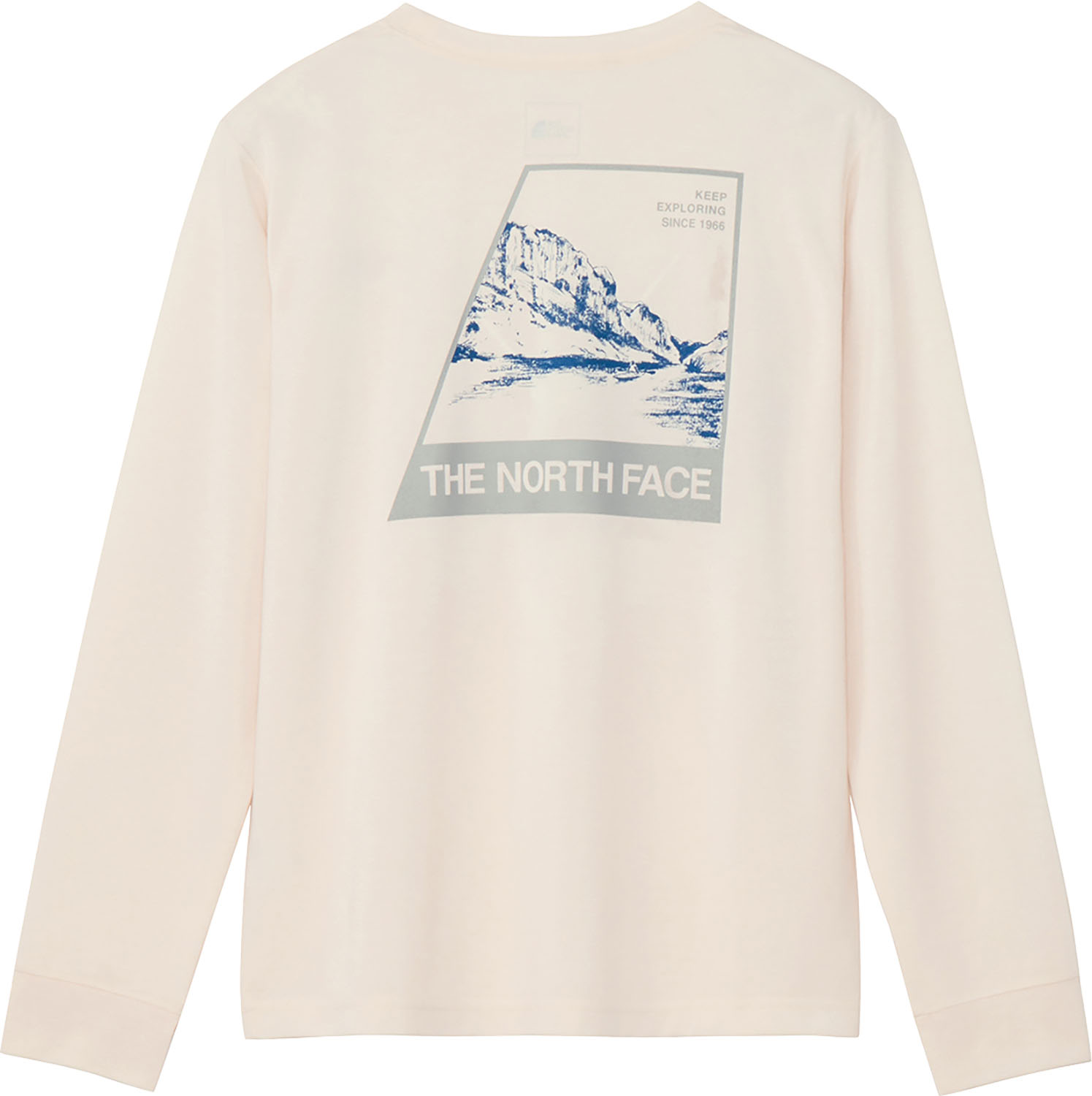 THE NORTH FACE ロングスリーブTNFバグフリーティー Tシャツ 長袖 ロンT 虫よけ加工 虫除け 静電防止 吸汗速乾 通気性 背面グラフィック アウトドア 登山 ハイキング キャンプ レジャー NTW12450