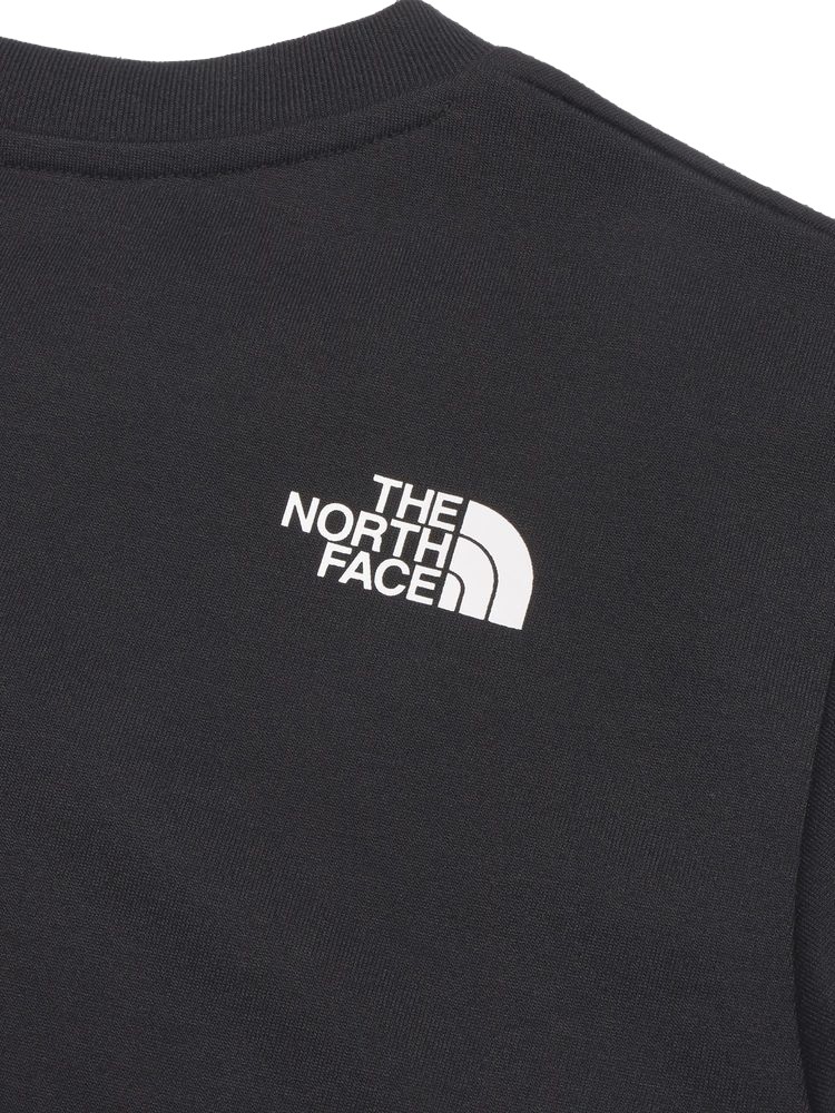 ノースフェイス THE NORTH FACE レディース 長袖Tシャツ 長袖シャツ ロンT ロングスリーブアクティブマンティー NTW32480