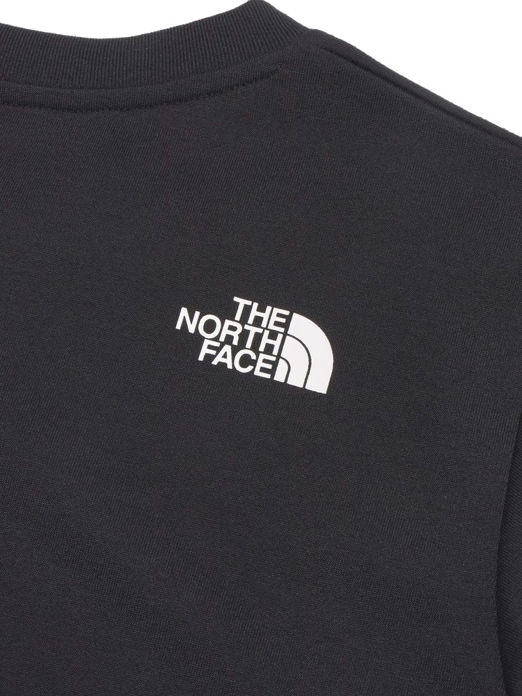 THE NORTH FACE レディース 長袖Tシャツ 長袖シャツ ロンT ロングスリーブアクティブマンティー NTW32480